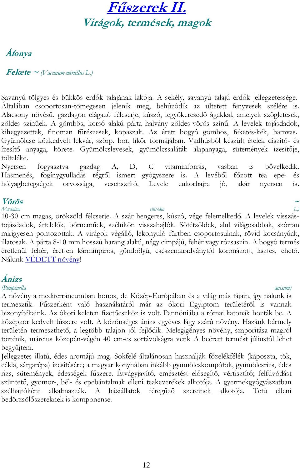 A gömbös, korsó alakú párta halvány zöldes-vörös színű. A levelek tojásdadok, kihegyezettek, finoman fűrészesek, kopaszak. Az érett bogyó gömbös, feketés-kék, hamvas.