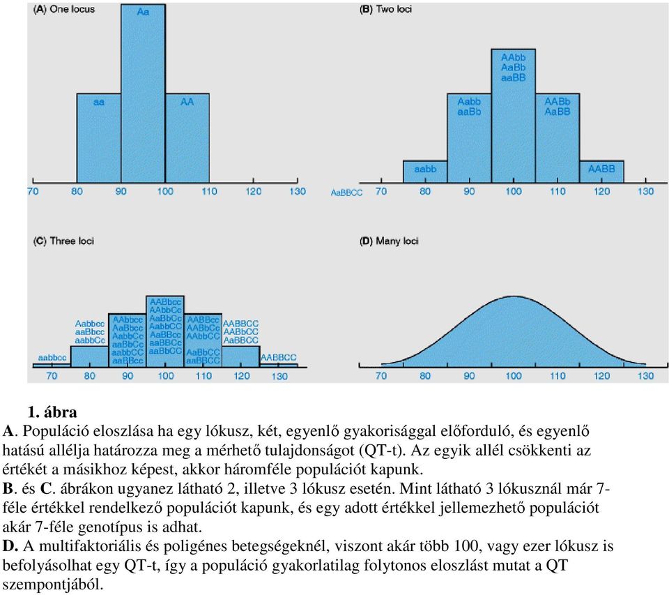 Mint látható 3 lókusznál már 7- féle értékkel rendelkező populációt kapunk, és egy adott értékkel jellemezhető populációt akár 7-féle genotípus is adhat. D.