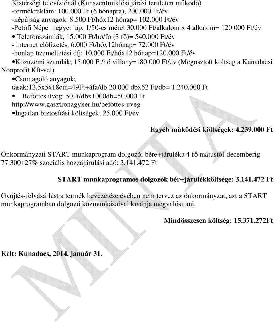 000 Ft/év -honlap üzemeltetési díj; 10.000 Ft/hóx12 hónap=120.000 Ft/év Közüzemi számlák; 15.000 Ft/hó villany=180.