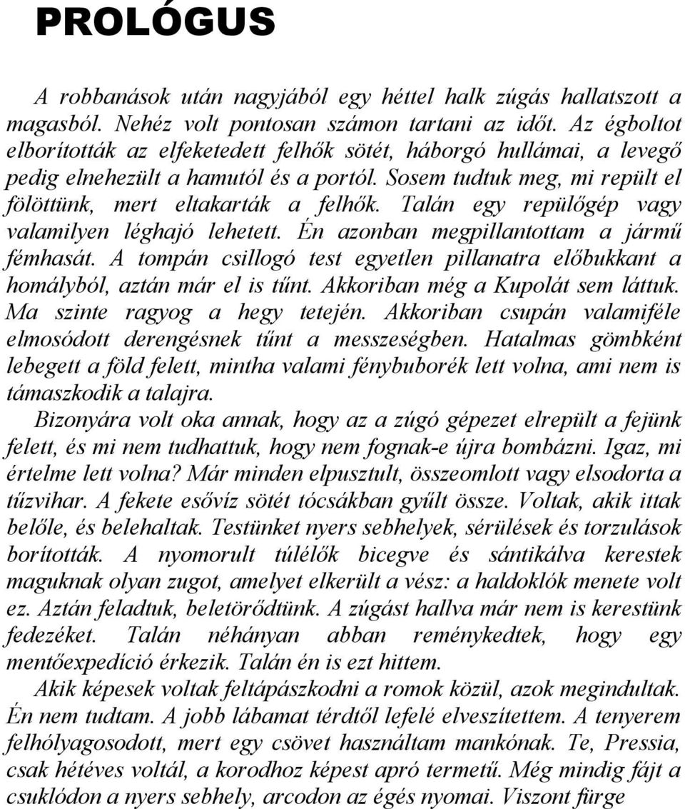 Talán egy repülőgép vagy valamilyen léghajó lehetett. Én azonban megpillantottam a jármű fémhasát. A tompán csillogó test egyetlen pillanatra előbukkant a homályból, aztán már el is tűnt.