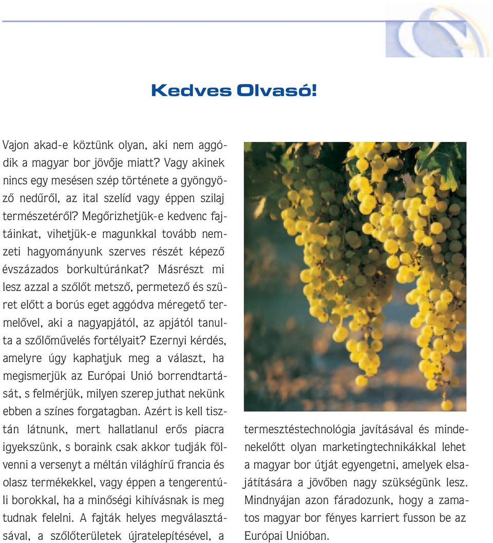 Megôrizhetjük-e kedvenc fajtáin kat, vihetjük-e magunkkal tovább nemze ti ha gyo má nyunk szerves részét ké pe zô év szá za dos borkultúránkat?