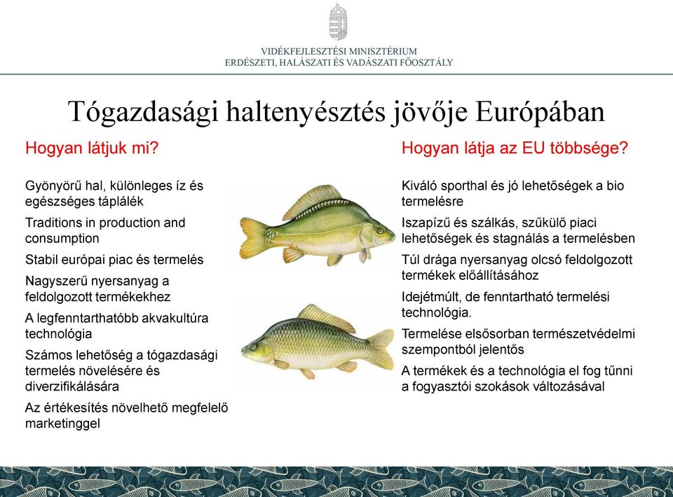 akvakultúra technológia Számos lehetőség a tógazdasági termelés növelésére és diverzifikálására Az értékesítés növelhető megfelelő marketinggel Kiváló sporthal és jó lehetőségek a bio termelésre