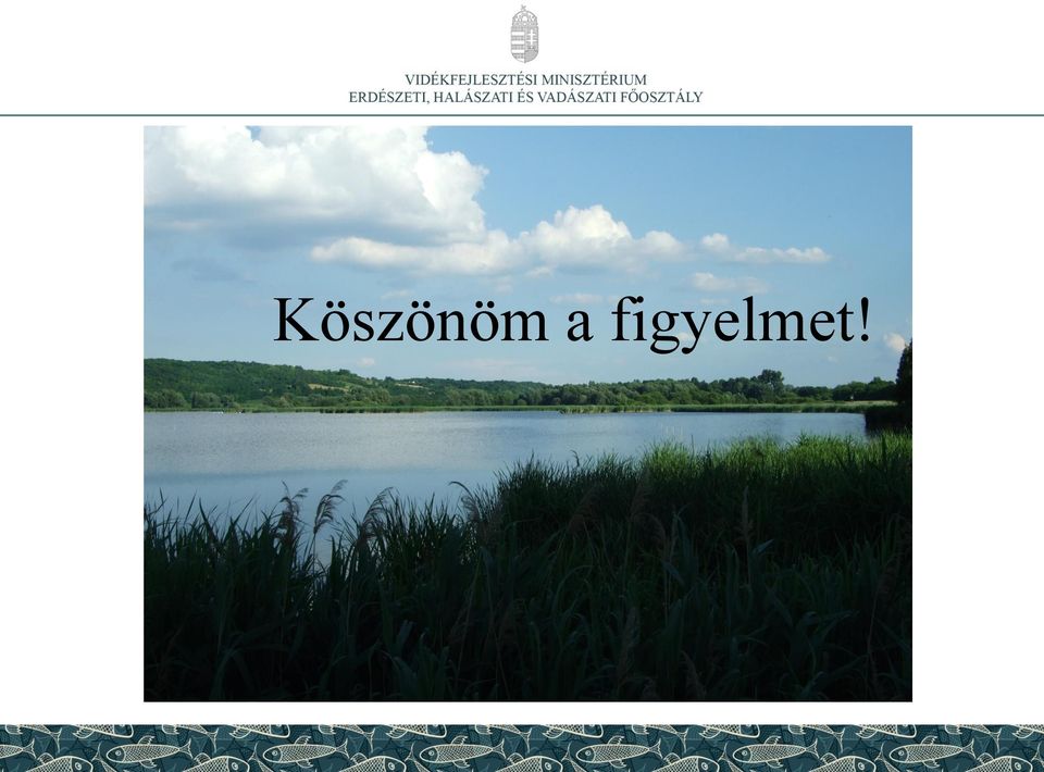 figyelmet!
