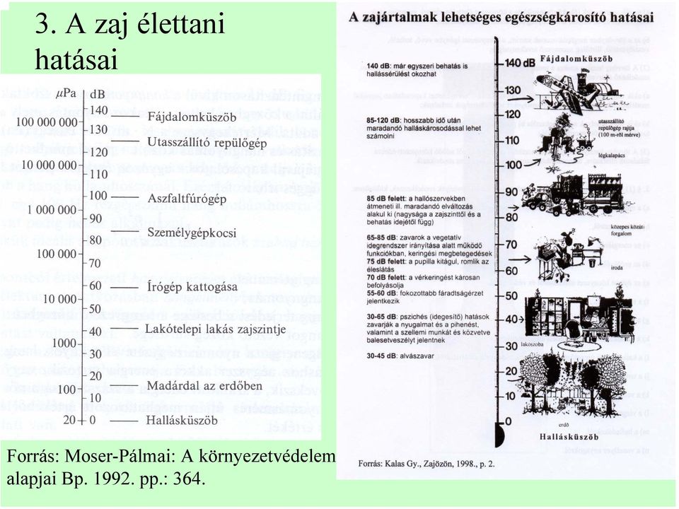 Moser-Pálmai: A