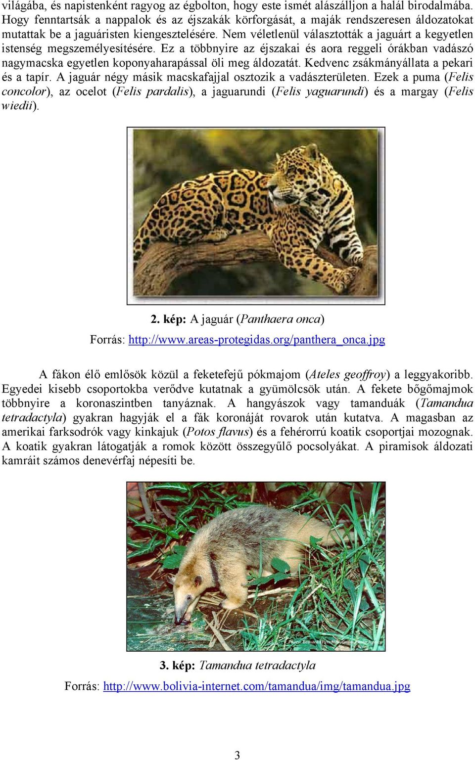 Nem véletlenül választották a jaguárt a kegyetlen istenség megszemélyesítésére. Ez a többnyire az éjszakai és aora reggeli órákban vadászó nagymacska egyetlen koponyaharapással öli meg áldozatát.