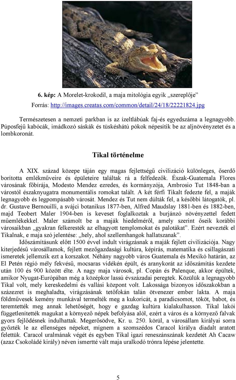 Tikal történelme A XIX. század közepe táján egy magas fejlettségű civilizáció különleges, őserdő borította emlékműveire és épületeire találtak rá a felfedezők.