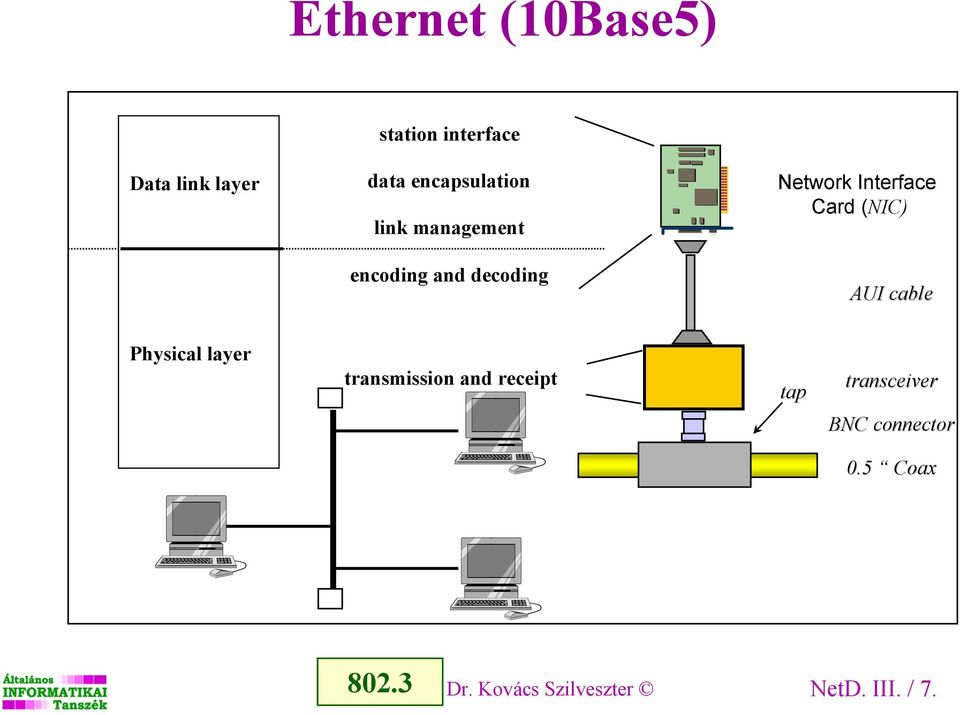 Interface Card (NIC) AUI cable Physical layer transmission and