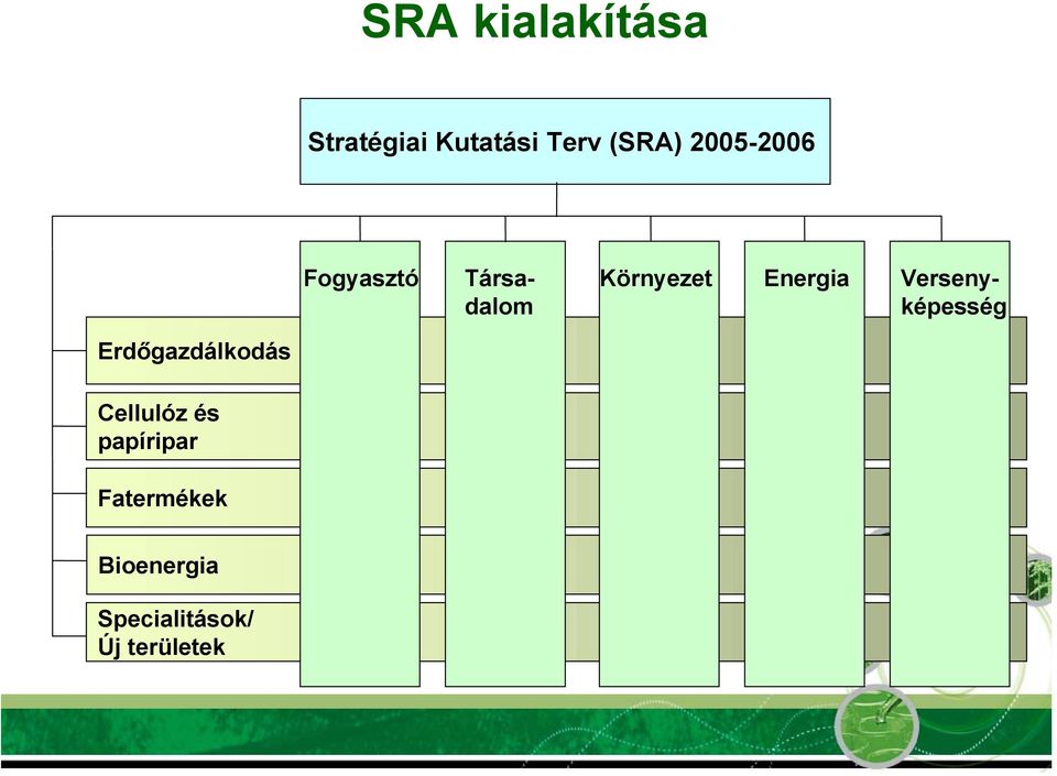 Környezet Energia Erdőgazdálkodás Cellulóz és