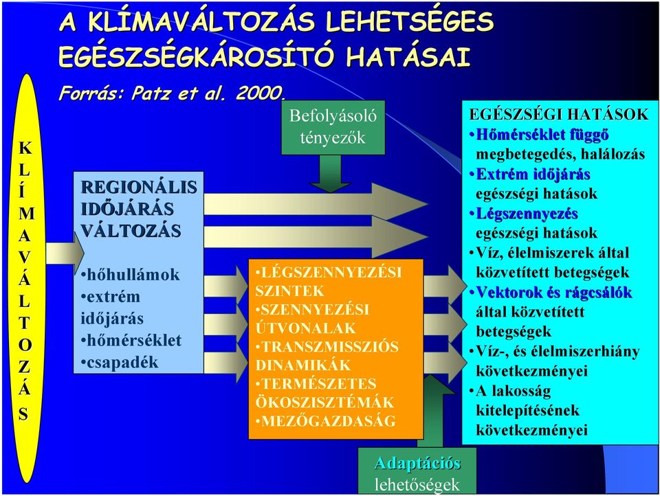 TERMÉSZETES ÖKOSZISZTÉMÁK MEZŐGAZDASÁG EGÉSZS SZSÉGI HATÁSOK Hőmérséklet függf ggő megbetegedés, halálozás Extrém m időjárás egészségi hatások Légszennyezés egészségi