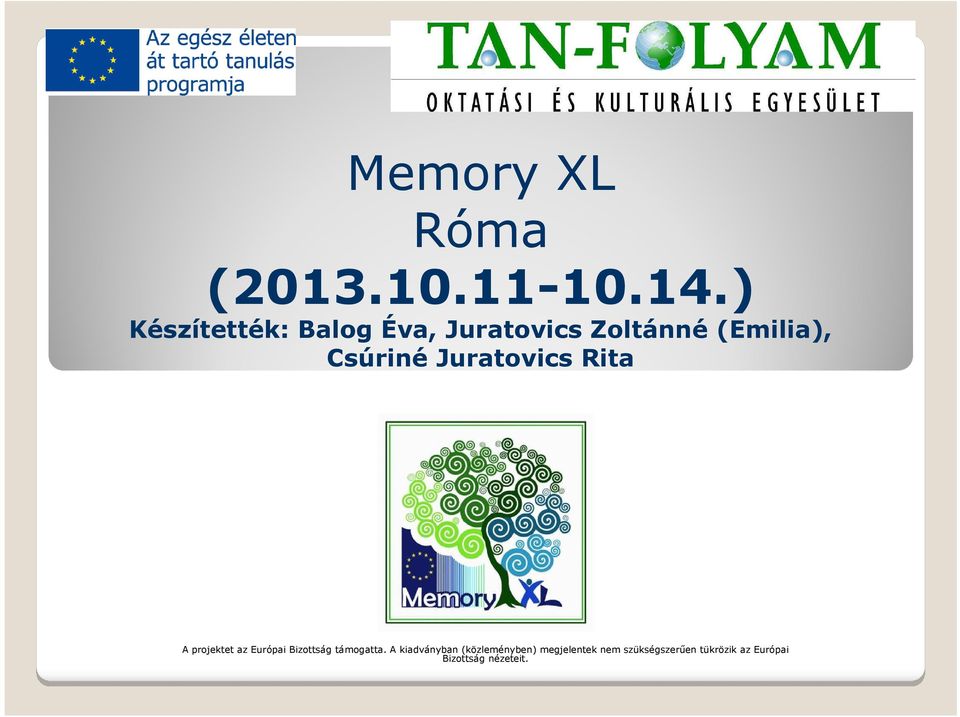 Juratovics Rita A projektet az Európai Bizottság támogatta.