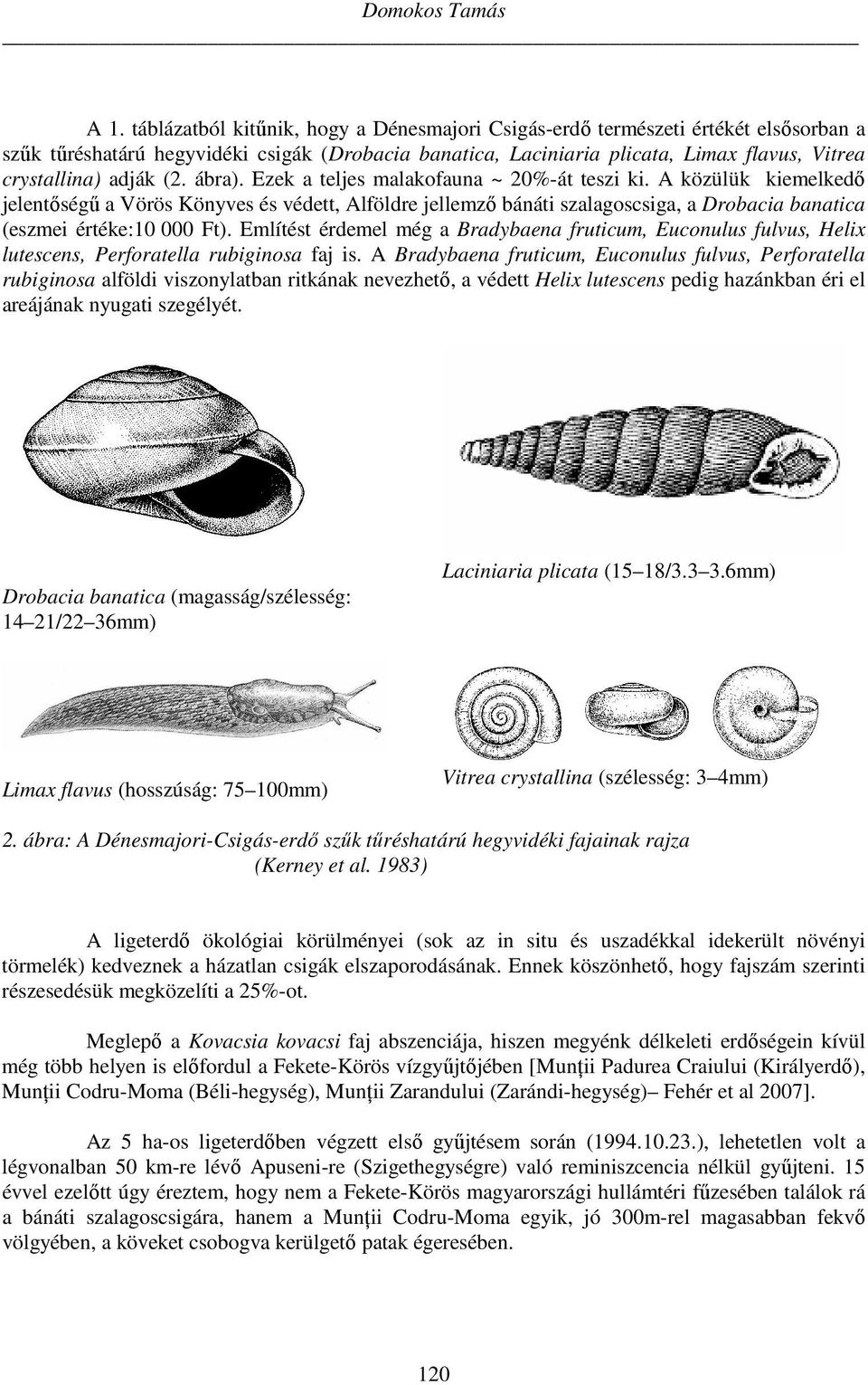 (2. ábra). Ezek a teljes malakofauna ~ 20%-át teszi ki.