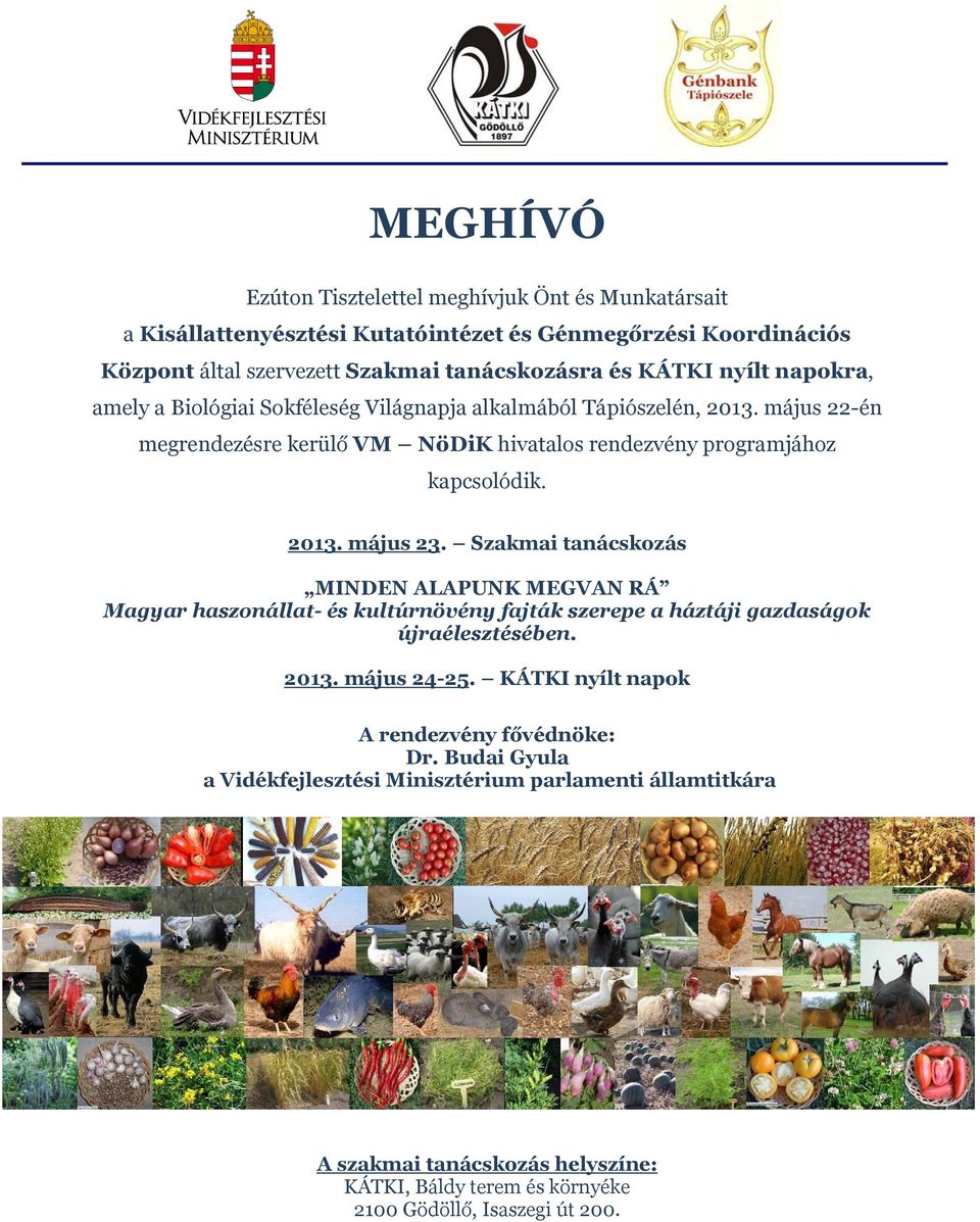 Szakmai tanácskozás MINDEN ALAPUNK MEGVAN RÁ Magyar haszonállat- és kultúrnövény fajták szerepe a háztáji gazdaságok újraélesztésében. 2013. május 24-25.
