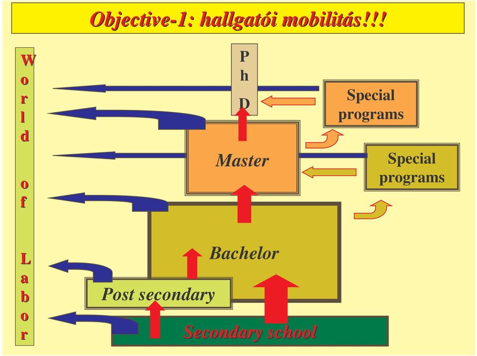 programs Special programs L a b o r