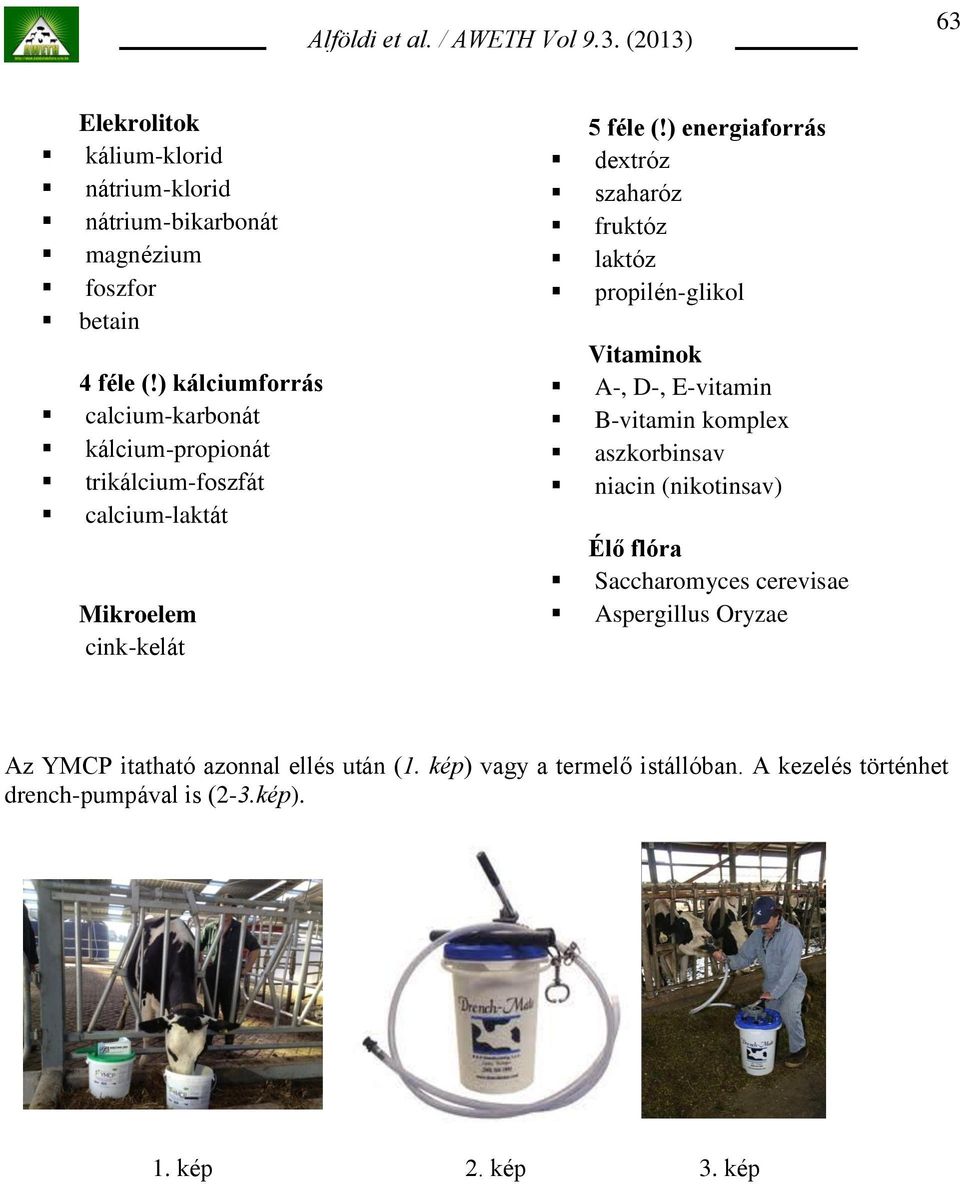 ) energiaforrás dextróz szaharóz fruktóz laktóz propilén-glikol Vitaminok A-, D-, E-vitamin B-vitamin komplex aszkorbinsav niacin