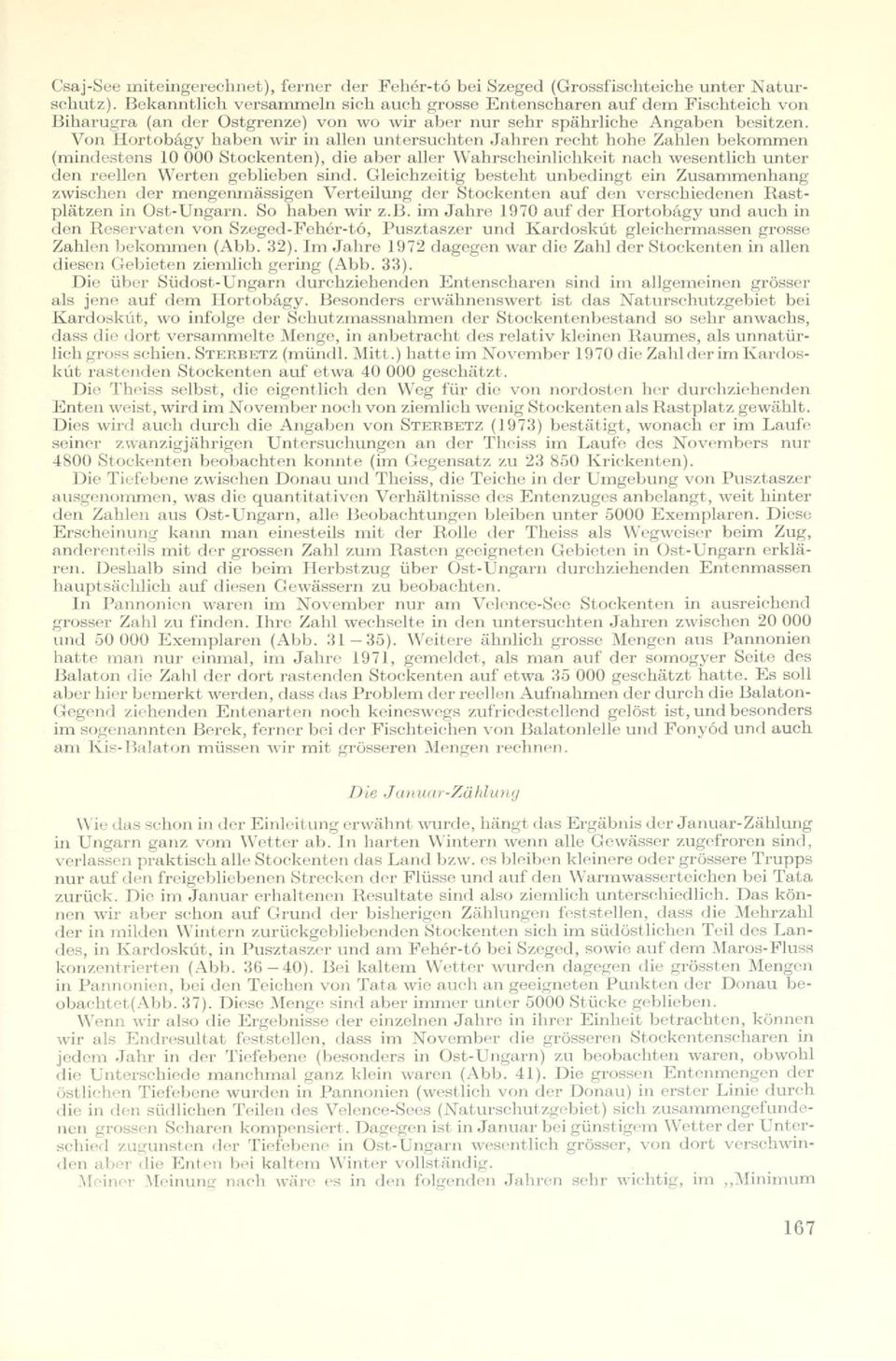 Von Hortobágy haben wir in allen untersuchten Jahren recht hohe Zahlen bekommen (mindestens 10 000 Stockenten), die aber aller Wahrscheinlichkeit nach wesentlich unter den reellen Werten geblieben