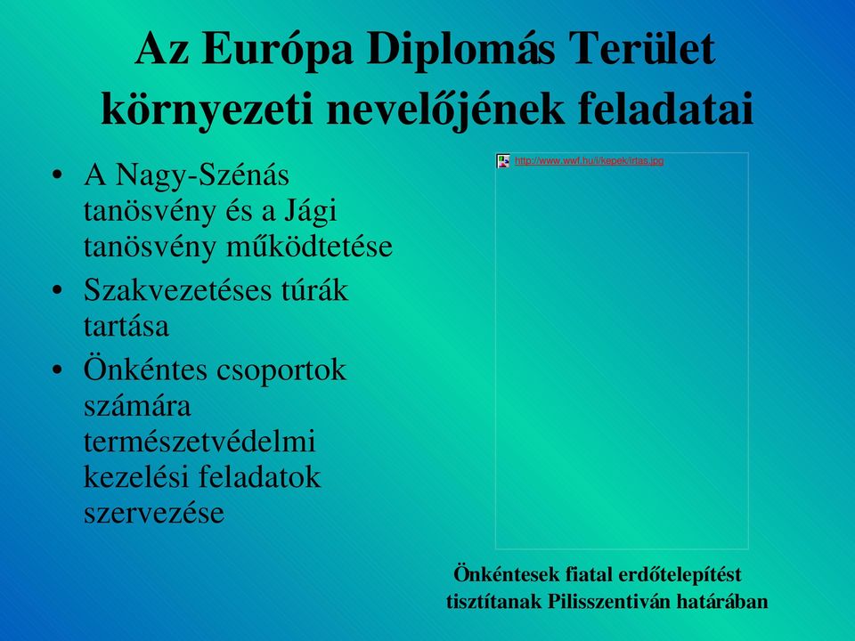 csoportok számára természetvédelmi kezelési feladatok szervezése http://www.wwf.