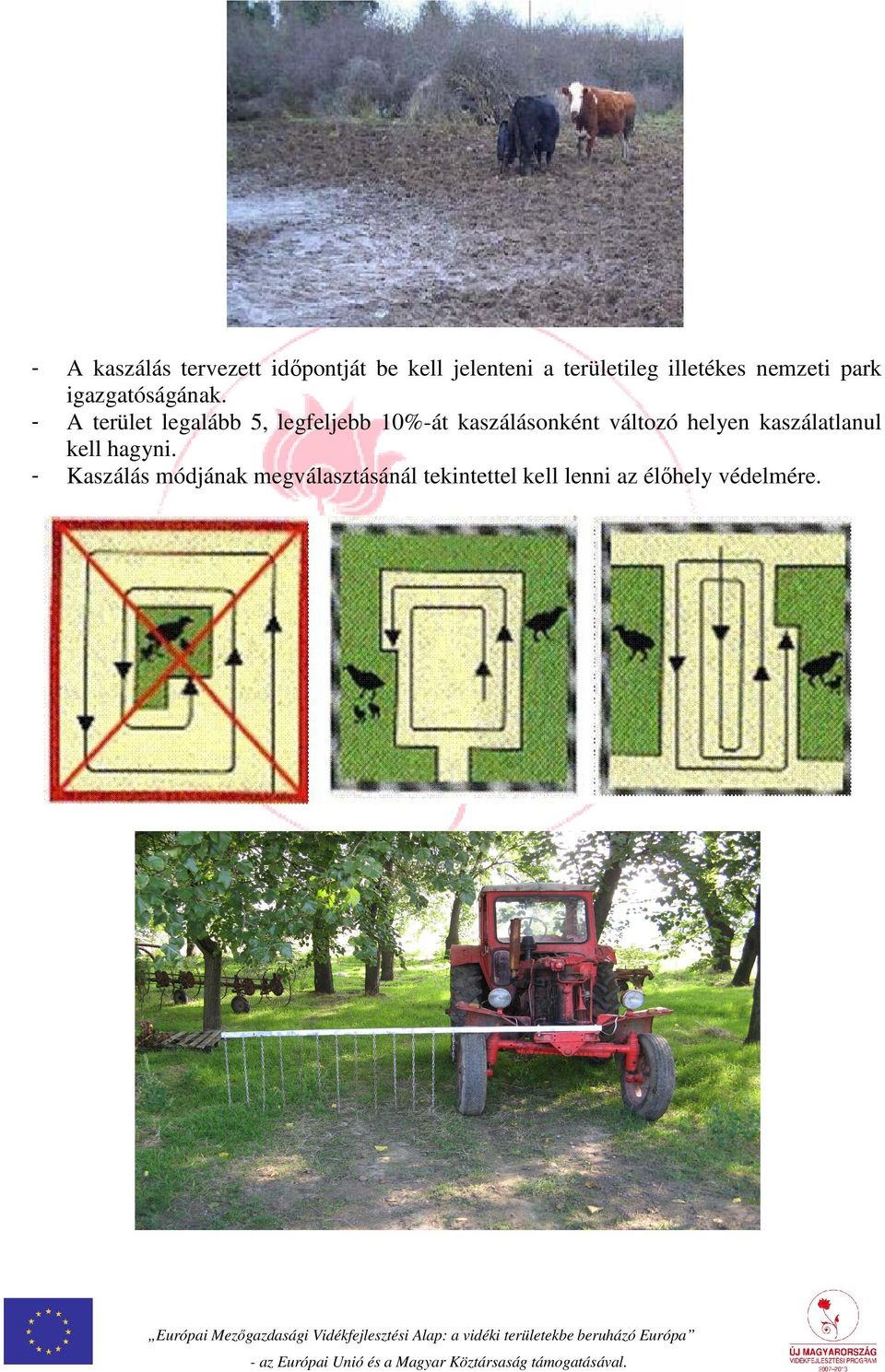 A terület legalább 5, legfeljebb 10%-át kaszálásonként változó helyen