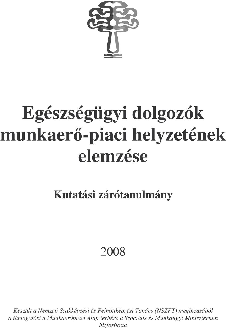 Tanács (NSZFT) megbízásából a támogatást a Munkaerpiaci