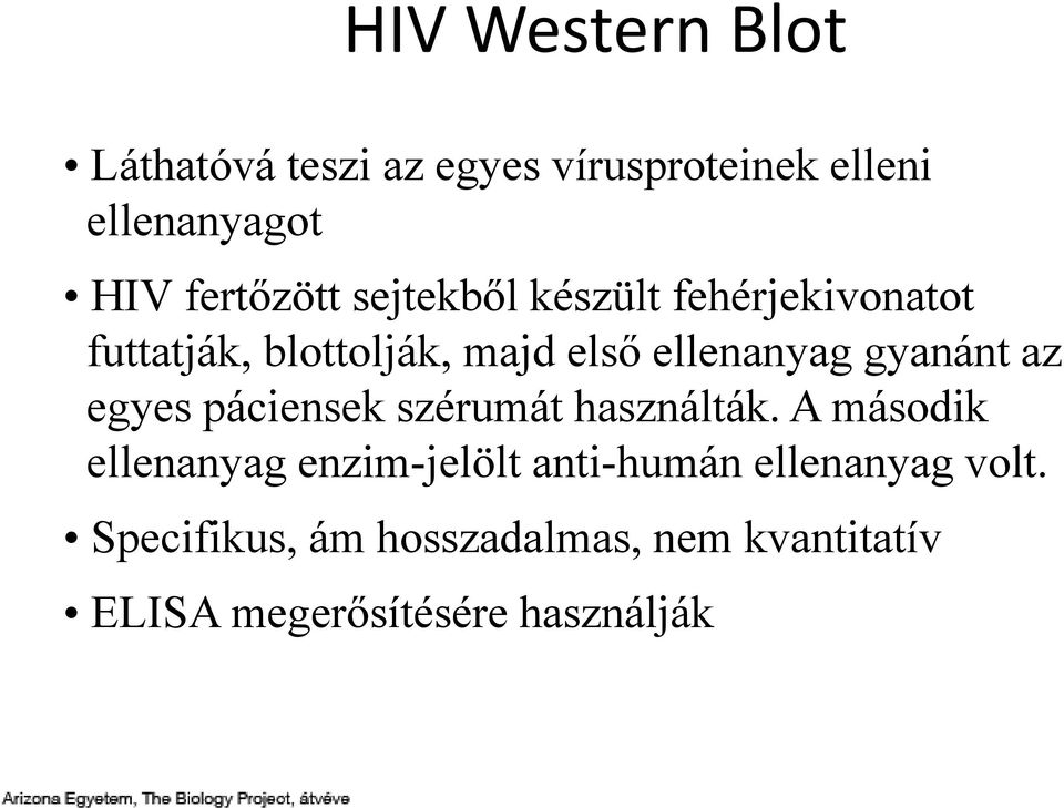 gyanánt az egyes páciensek szérumát használták.