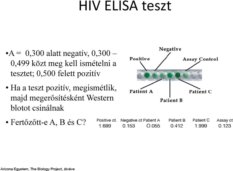 pozitív Ha a teszt pozitív, megismétlik, majd