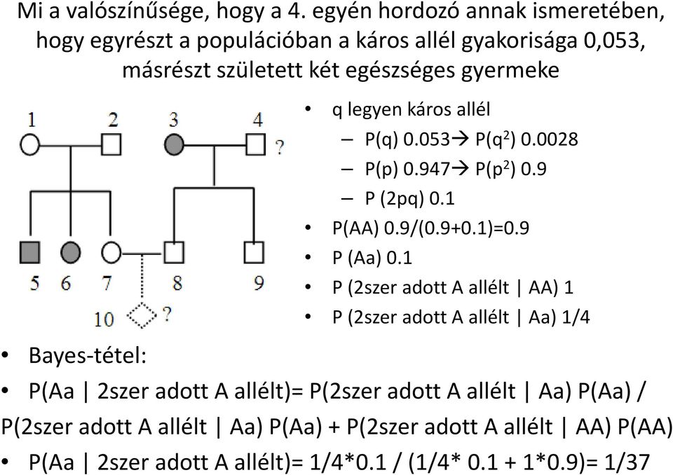 Bayes-tétel: q legyen káros allél P(q) 0.053 P(q 2 ) 0.0028 P(p) 0.947 P(p 2 ) 0.9 P (2pq) 0.1 P(AA) 0.9/(0.9+0.1)=0.9 P (Aa) 0.