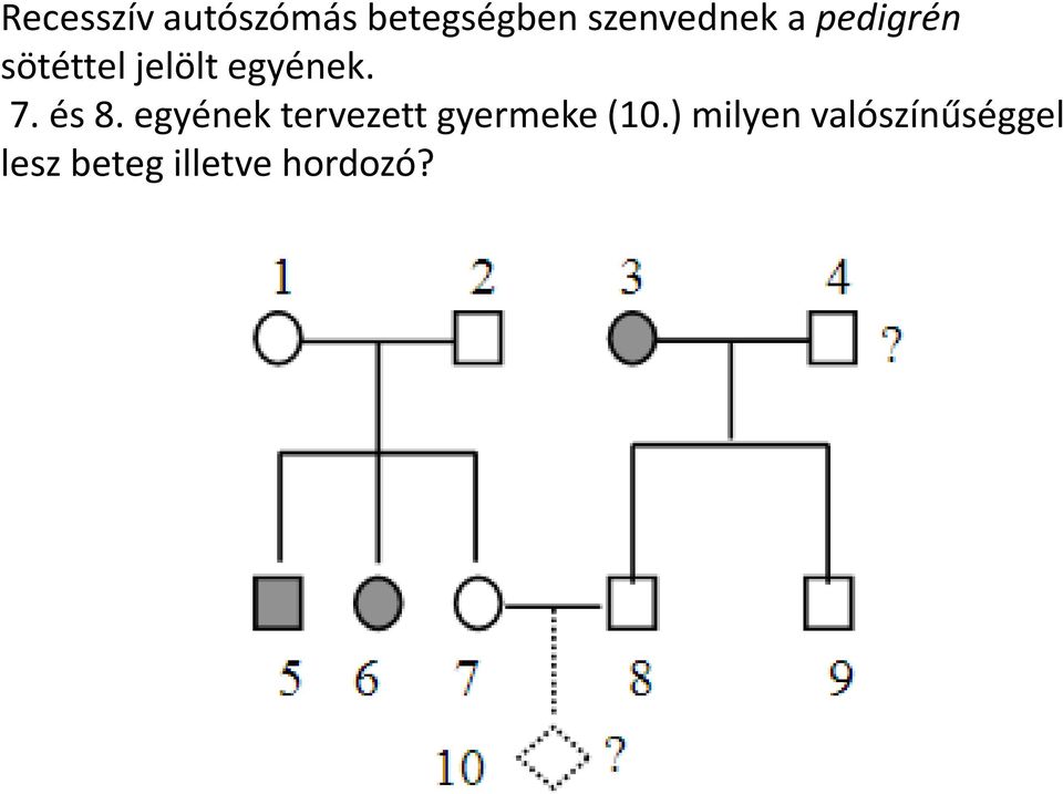 egyének. 7. és 8.