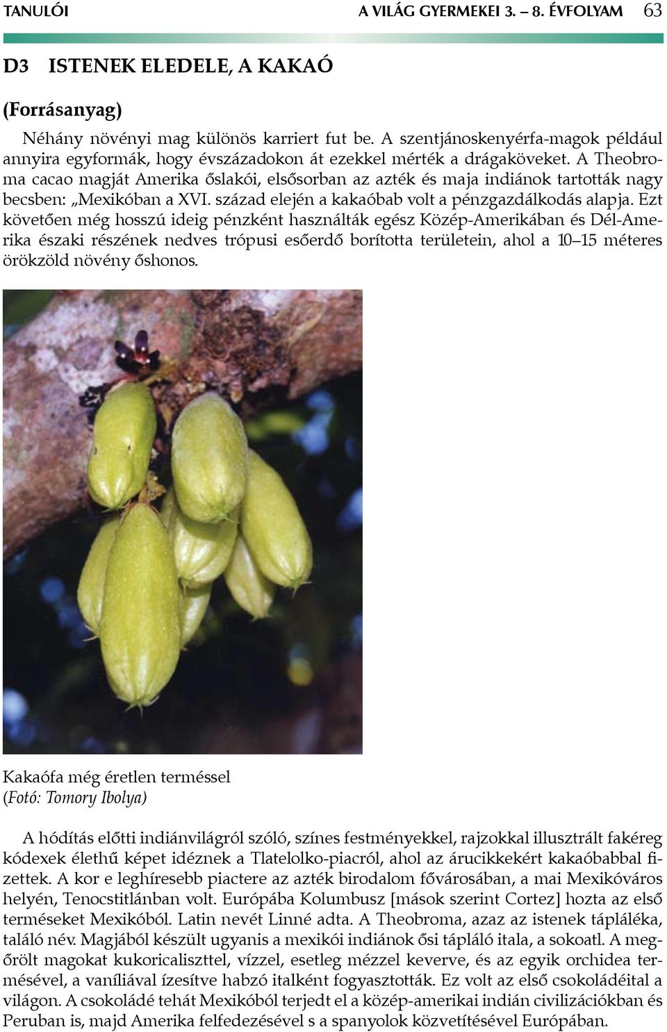 A Theobroma cacao magját Amerika őslakói, elsősorban az azték és maja indiánok tartották nagy becsben: Mexikóban a XVI. század elején a kakaóbab volt a pénzgazdálkodás alapja.