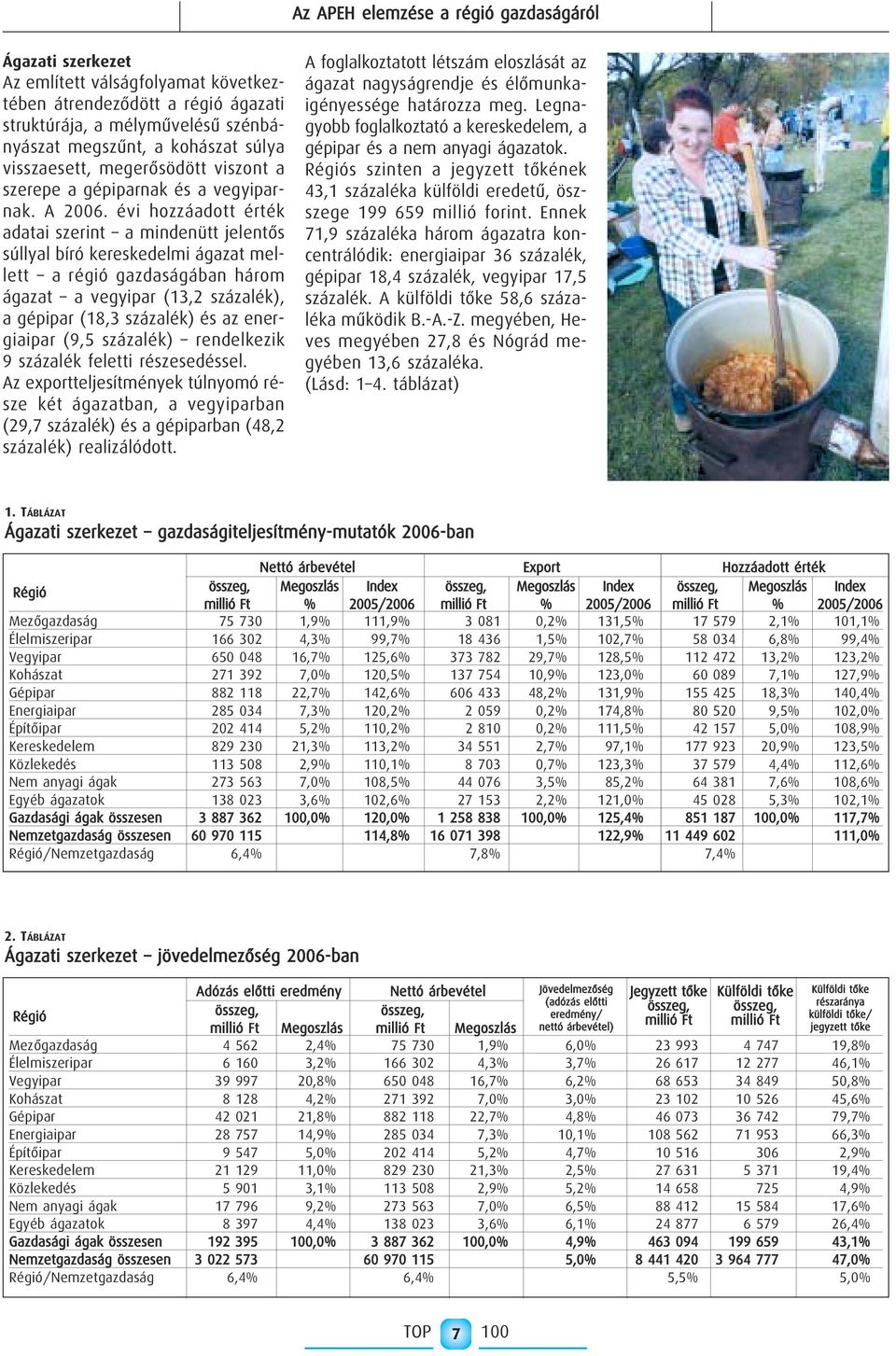 évi hozzáadott érték adatai szerint a mindenütt jelentôs súllyal bíró kereskedelmi ágazat mellett a régió gazdaságában három ágazat a vegyipar (13,2 százalék), a gépipar (18,3 százalék) és az