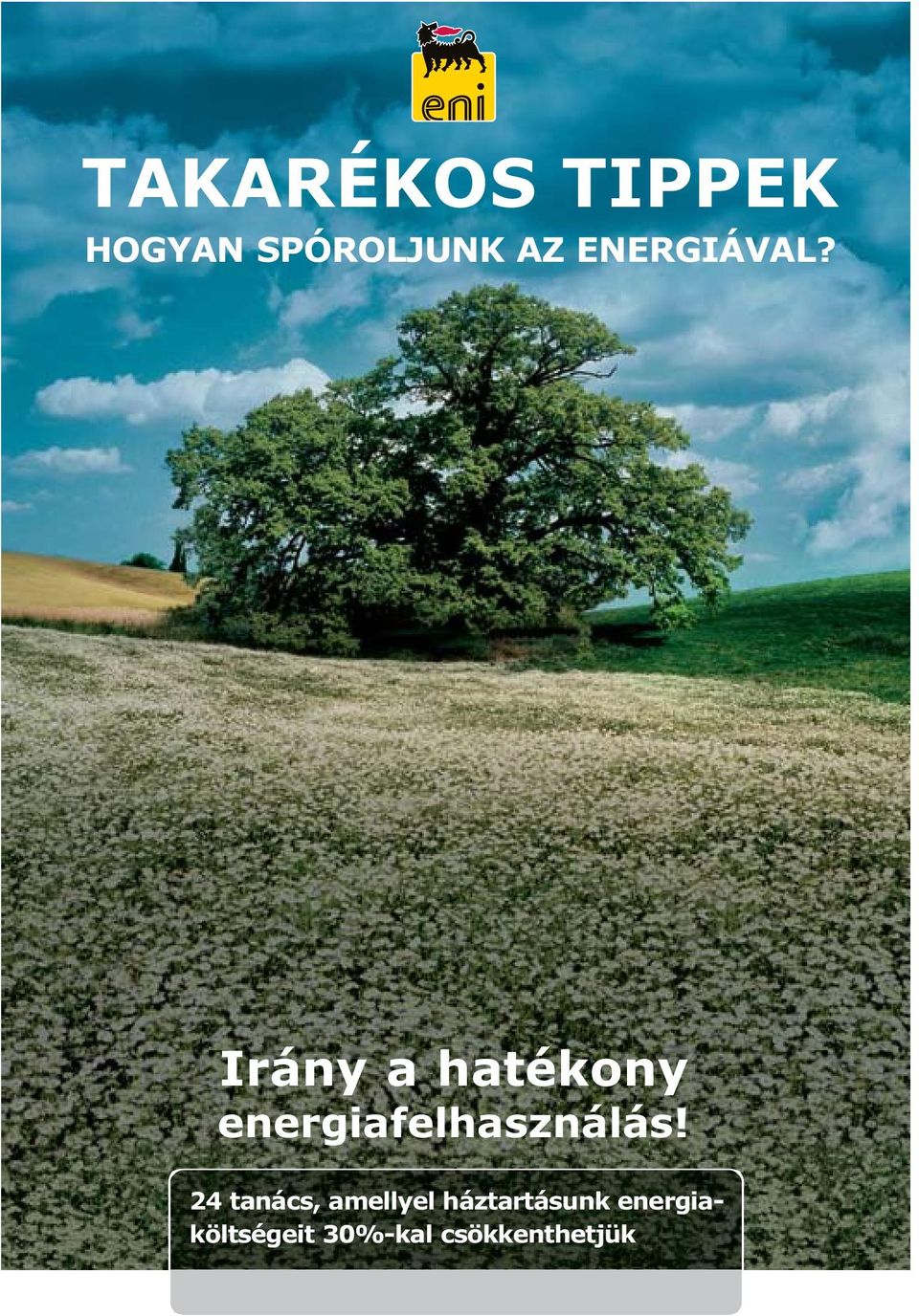 Irány a hatékony energiafelhasználás!