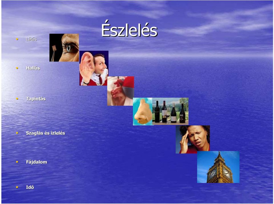 Szaglás és