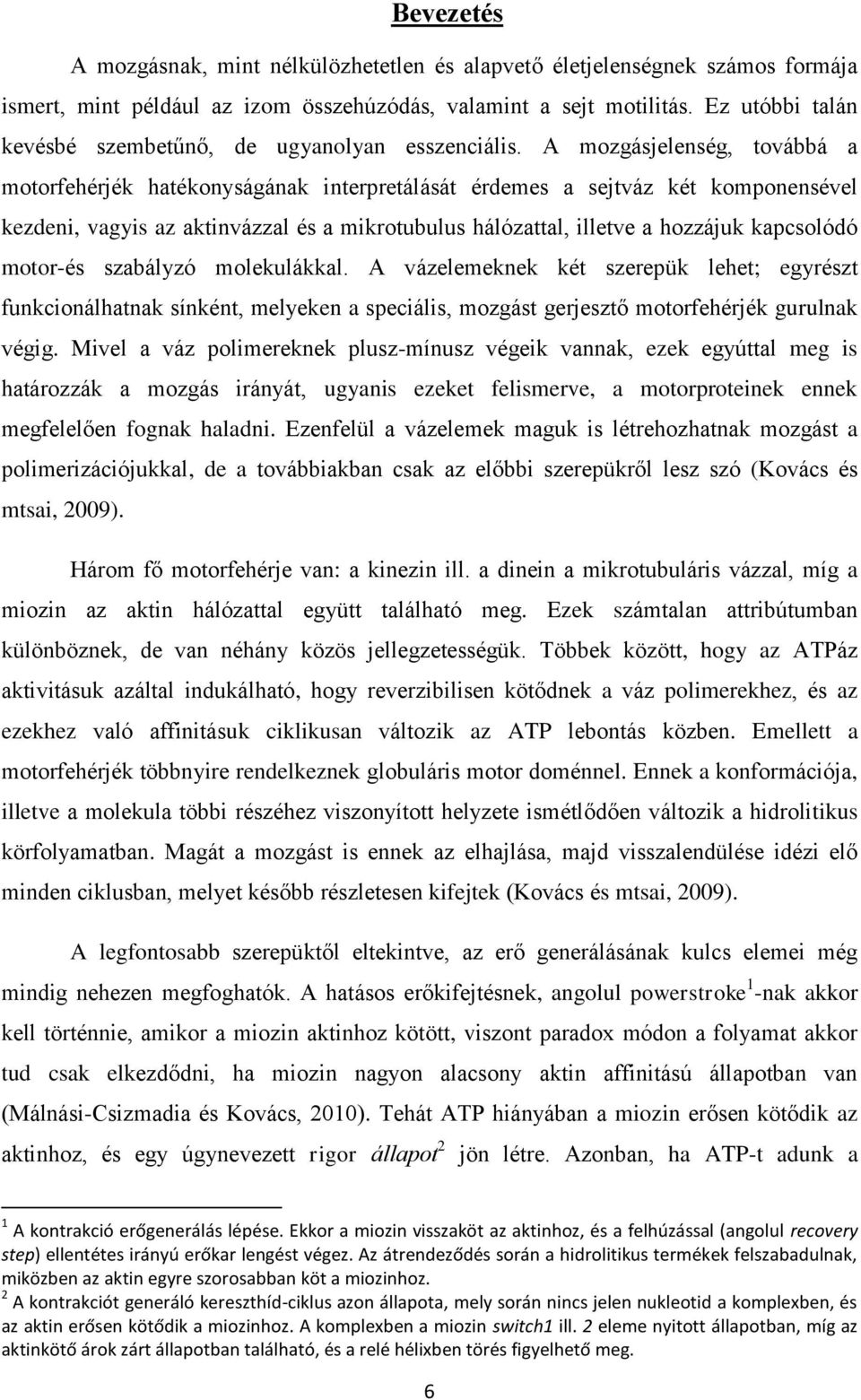 A mozgásjelenség, továbbá a motorfehérjék hatékonyságának interpretálását érdemes a sejtváz két komponensével kezdeni, vagyis az aktinvázzal és a mikrotubulus hálózattal, illetve a hozzájuk