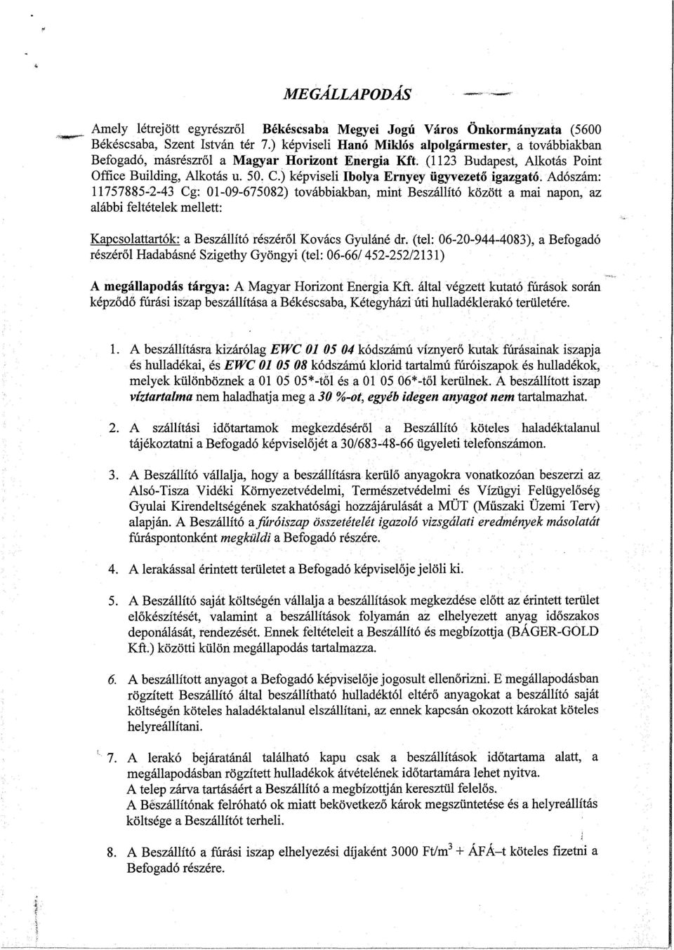 ) képviseli Ibolya Ernyey ügyvezető igazgató.