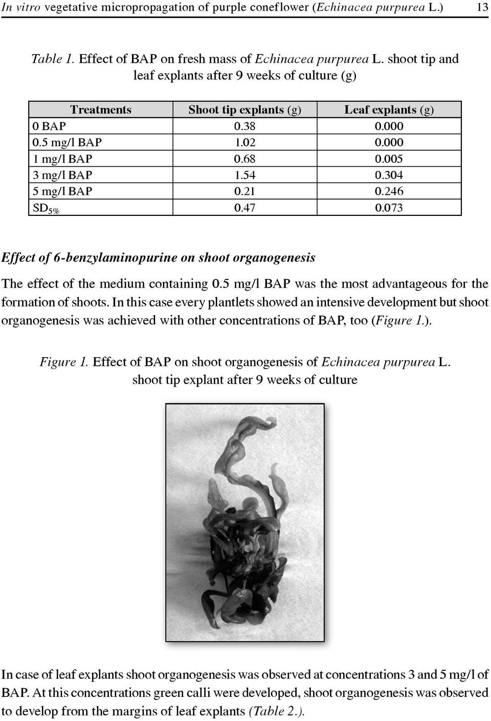 304 5 mg/l BAP 0.21 0.246 SD 5% 0.47 0.073 Effect of 6-benzylaminopurine on shoot organogenesis The effect of the medium containing 0.5 mg/l BAP was the most advantageous for the formation of shoots.