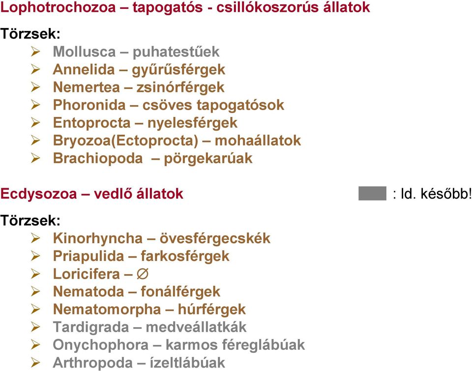 pörgekarúak Ecdysozoa vedlő állatok Törzsek: Kinorhyncha övesférgecskék Priapulida farkosférgek Loricifera