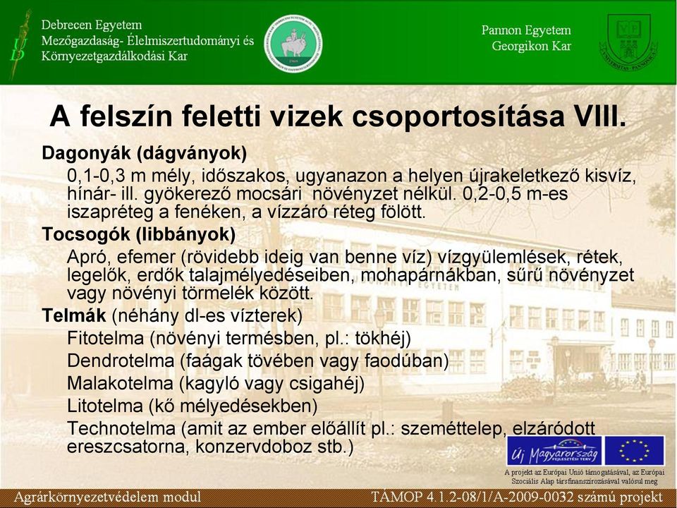 Tocsogók (libbányok) Apró, efemer (rövidebb ideig van benne víz) vízgyülemlések, rétek, legelők, erdők talajmélyedéseiben, mohapárnákban, sűrű növényzet vagy növényi törmelék