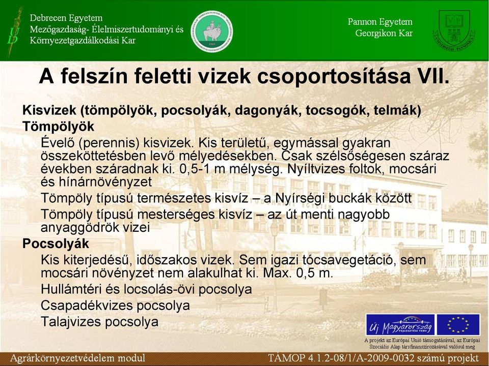 Nyíltvizes foltok, mocsári és hínárnövényzet Tömpöly típusú természetes kisvíz a Nyírségi buckák között Tömpöly típusú mesterséges kisvíz az út menti nagyobb