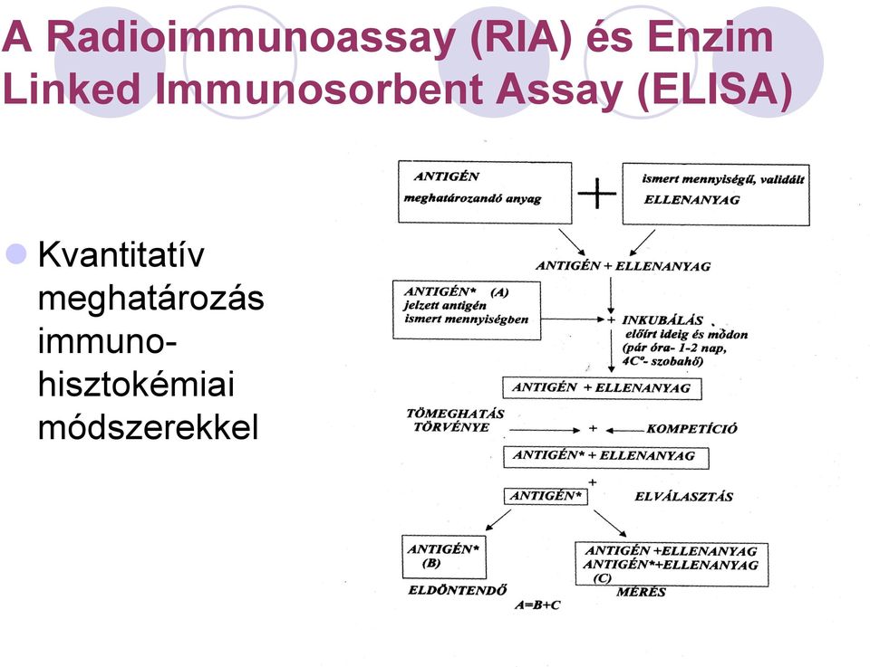 Assay (ELISA) Kvantitatív