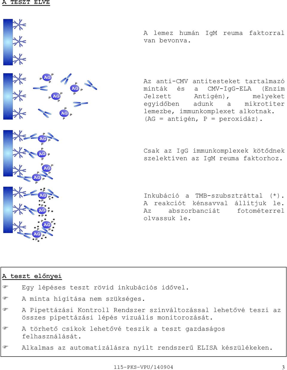 Csak az IgG immunkomplexek kötődnek szelektíven az IgM reuma faktorhoz. Inkubáció a TMBszubsztráttal (*). A reakciót kénsavval állítjuk le. Az abszorbanciát fotométerrel olvassuk le.