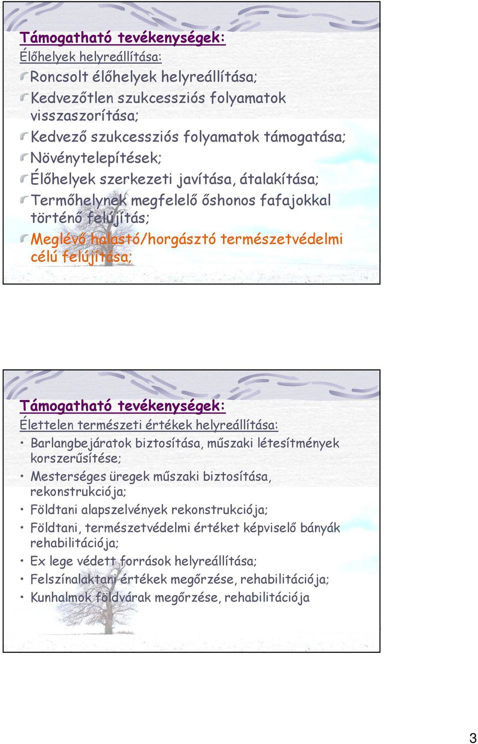 tevékenységek: Élettelen természeti értékek helyreállítása: Barlangbejáratok biztosítása, mőszaki létesítmények korszerősítése; Mesterséges üregek mőszaki biztosítása, rekonstrukciója; Földtani