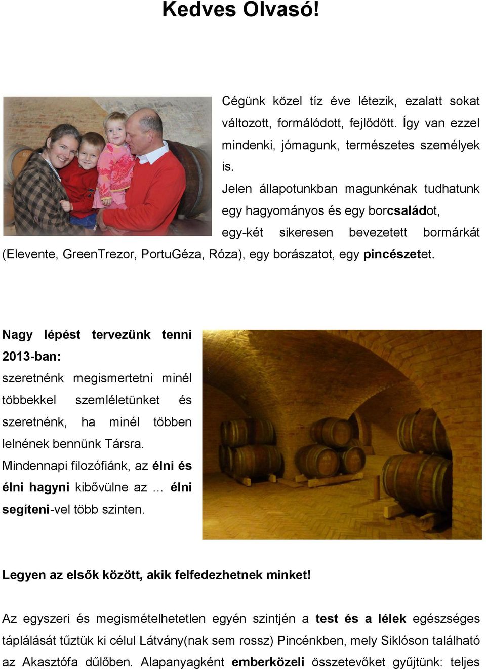 Nagy lépést tervezünk tenni 2013-ban: szeretnénk megismertetni minél többekkel szemléletünket és szeretnénk, ha minél többen lelnének bennünk Társra.