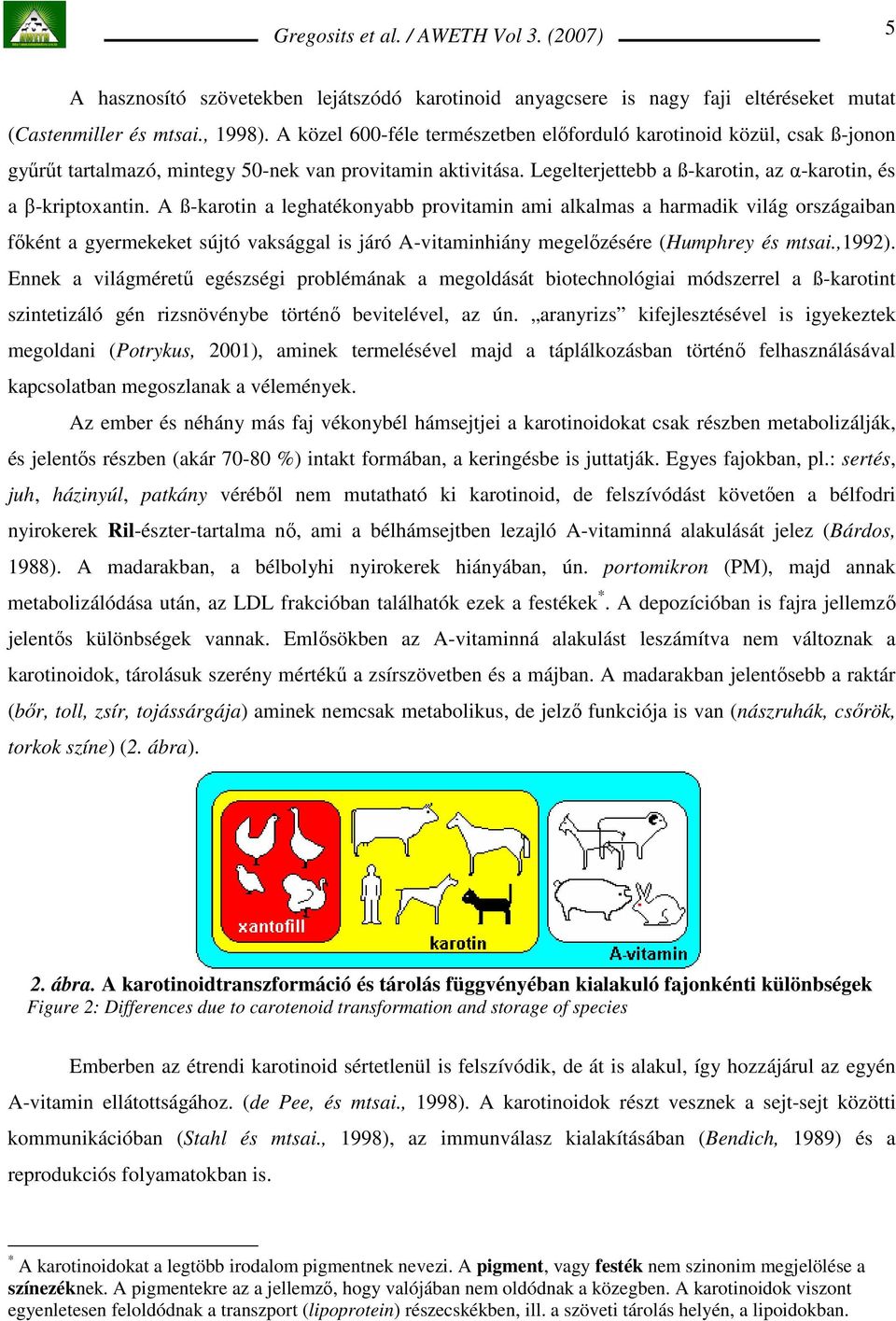 A ß-karotin a leghatékonyabb provitamin ami alkalmas a harmadik világ országaiban fıként a gyermekeket sújtó vaksággal is járó A-vitaminhiány megelızésére (Humphrey és mtsai.,1992).