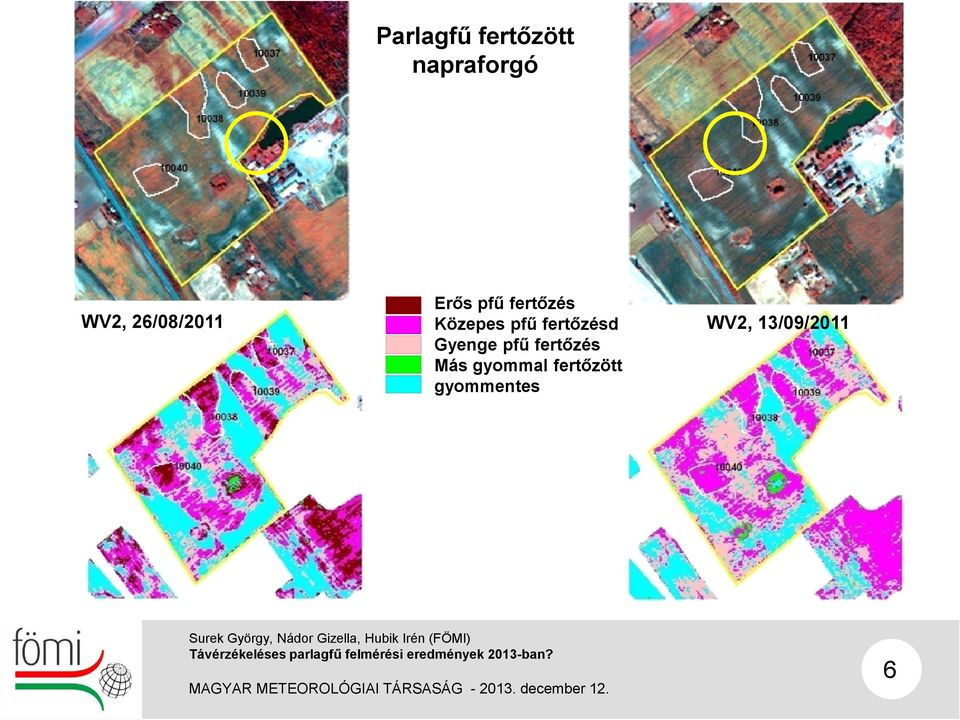 pfű fertőzésd Gyenge pfű fertőzés Más