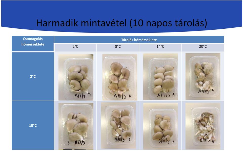 hőmérséklete Tárolás