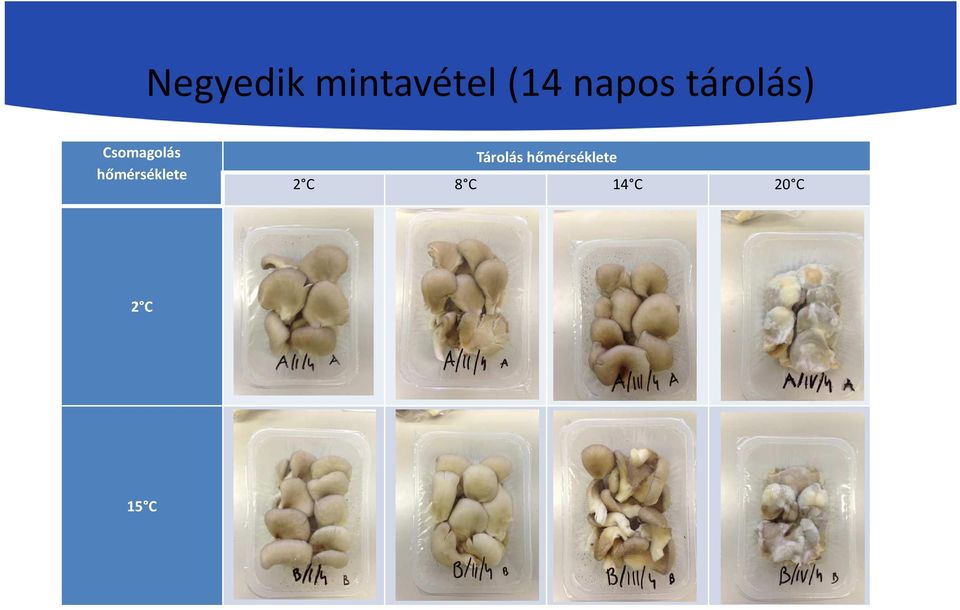 hőmérséklete Tárolás