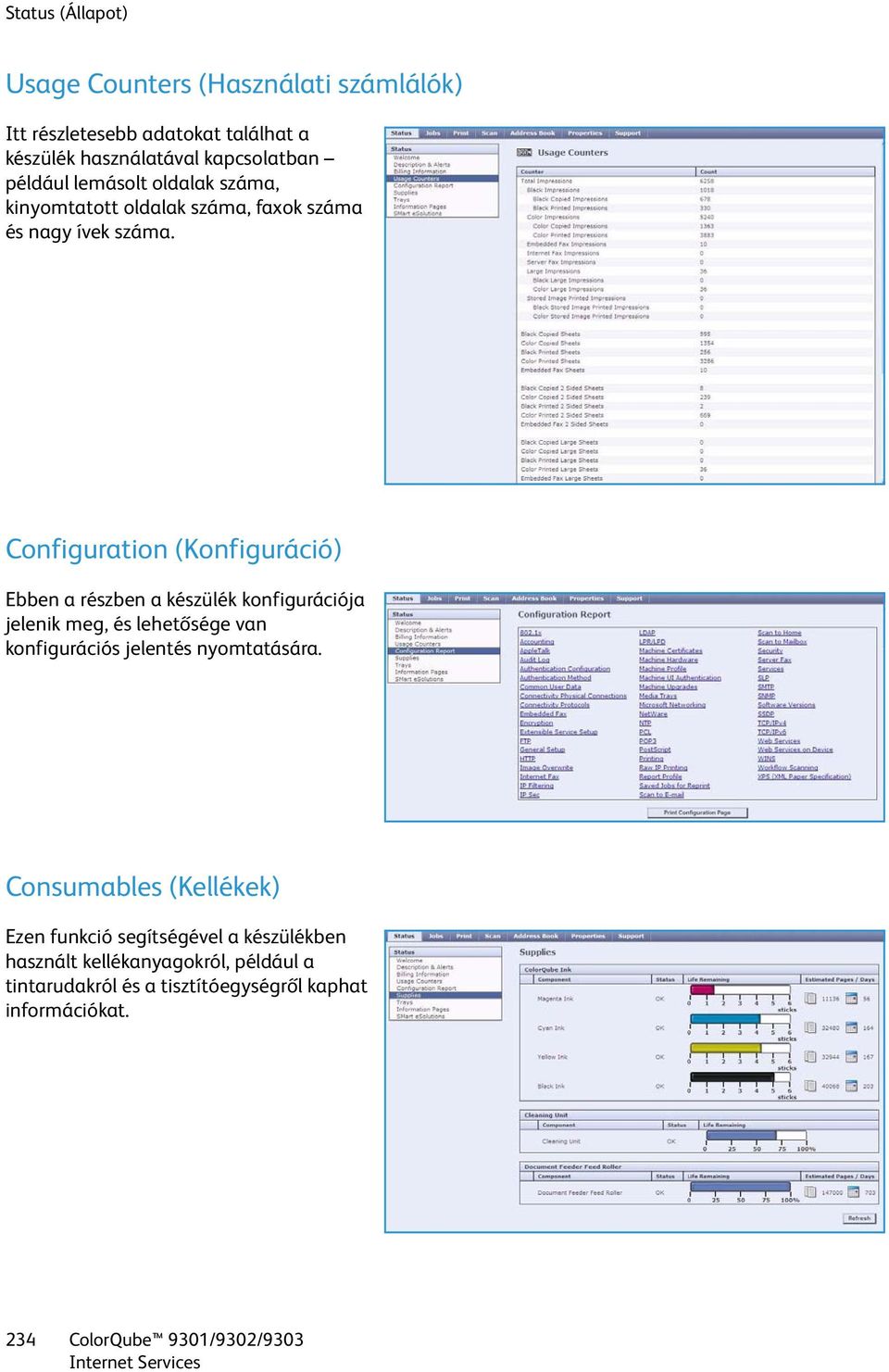 Configuration (Konfiguráció) Ebben a részben a készülék konfigurációja jelenik meg, és lehetősége van konfigurációs jelentés