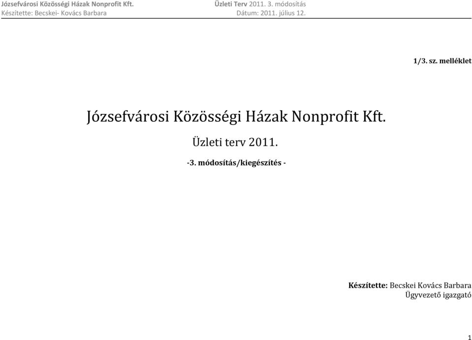 Nonprofit Kft. Üzleti terv 2011. -3.