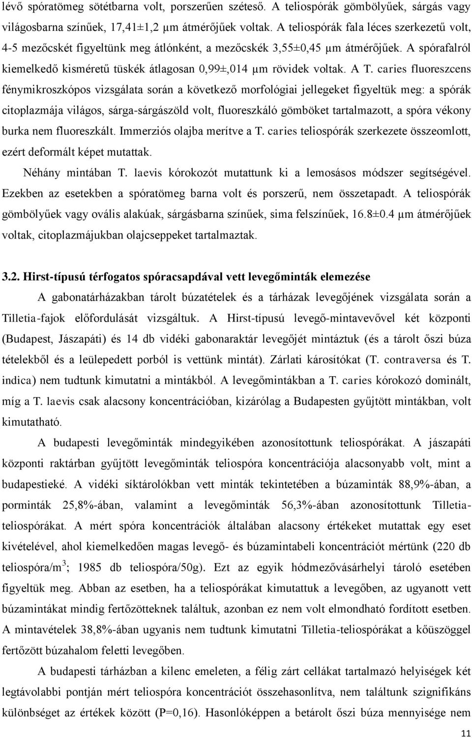 A T. caries fluoreszcens fénymikroszkópos vizsgálata során a következő morfológiai jellegeket figyeltük meg: a spórák citoplazmája világos, sárga-sárgászöld volt, fluoreszkáló gömböket tartalmazott,