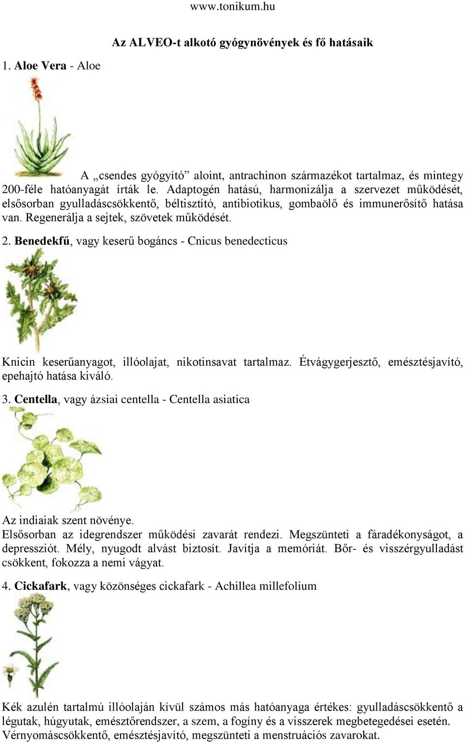 Benedekfű, vagy keserű bogáncs - Cnicus benedecticus Knicin keserűanyagot, illóolajat, nikotinsavat tartalmaz. Étvágygerjesztő, emésztésjavító, epehajtó hatása kiváló. 3.