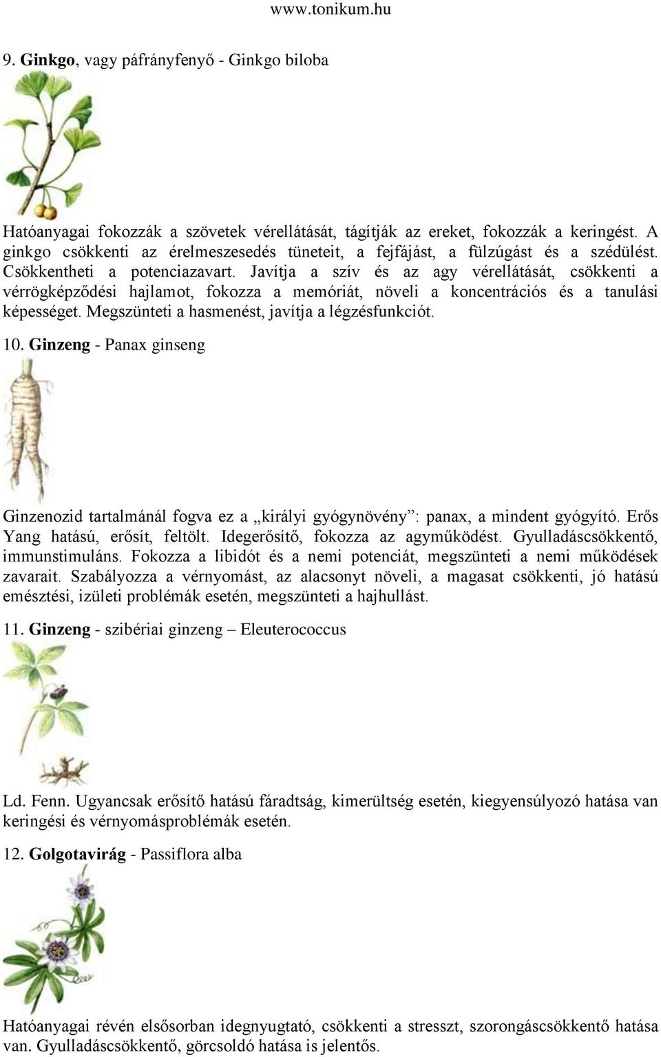 Javítja a szív és az agy vérellátását, csökkenti a vérrögképződési hajlamot, fokozza a memóriát, növeli a koncentrációs és a tanulási képességet. Megszünteti a hasmenést, javítja a légzésfunkciót. 10.