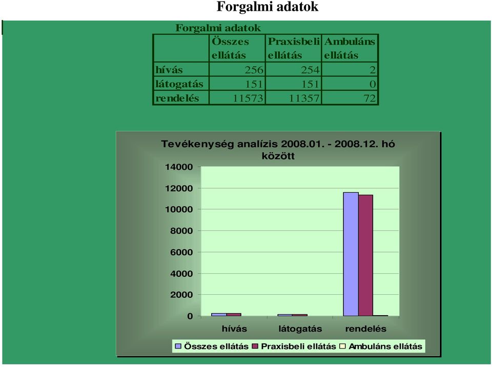Tevékenység analízis 2008.01. - 2008.12.
